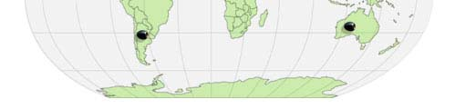 Spread of insecticide resistance Molecular mechanisms of resistance 98% of olive trees are grown in the Mediterranean basin A