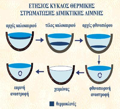 Α ΠΑΡΑΡΤΗΜΑ ΕΙΚΟΝΩΝ Εικόνα 1: Φάσεις της θερμικής στρωμάτωσης του νερού μιας διμικτικής λίμνης, από αρχές καλοκαιριού μέχρι αρχές