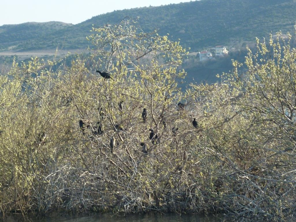 Εικόνα 4: Περιοχή