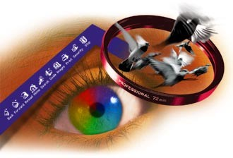 Διανυσματικά γραφικά εναντίον Bitmaps Bitmap Πίνακας δεδομένων που περιγράφει τα χαρακτηριστικά όλων των pixels από τα οποία απαρτίζεται μια εικόνα Vector graphic Ένα σύνολο από περιγραφές των