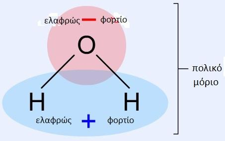 1) της κοινής τους μεταβολικής προέλευσης Εικόνα 1 Αλληλεπίδραση υδρόφοβων μορίων μέσα σε υδατικό διάλυμα ΣΗΜΕΙΩΣΗ: Τα υδρόφοβα μόρια