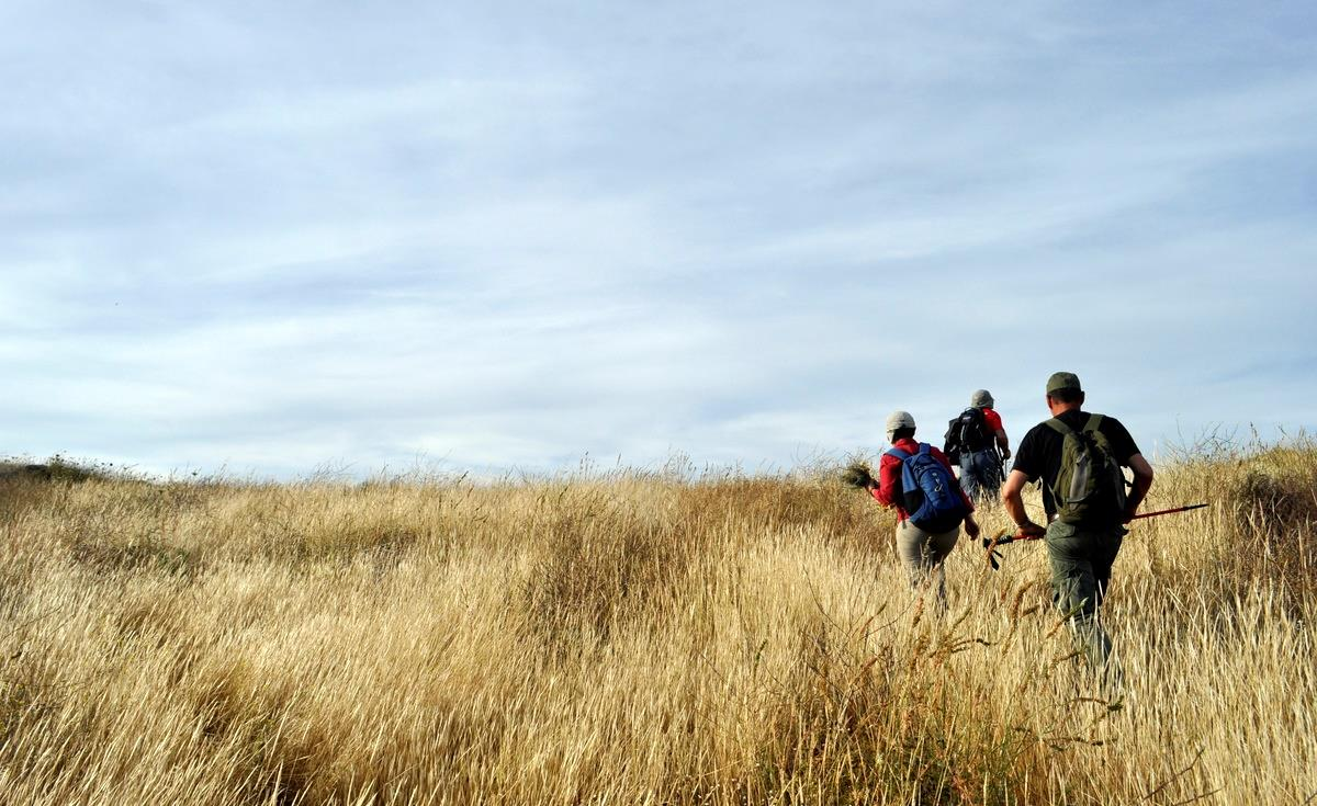 Με την εγγύηση Το Hikers Friendly HOTELS αναπτύχθηκε από την Paths of Greece, σε συνεργασία με την Green Evolution. Η Paths of Greece (www.