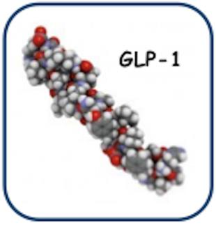 GLP-1