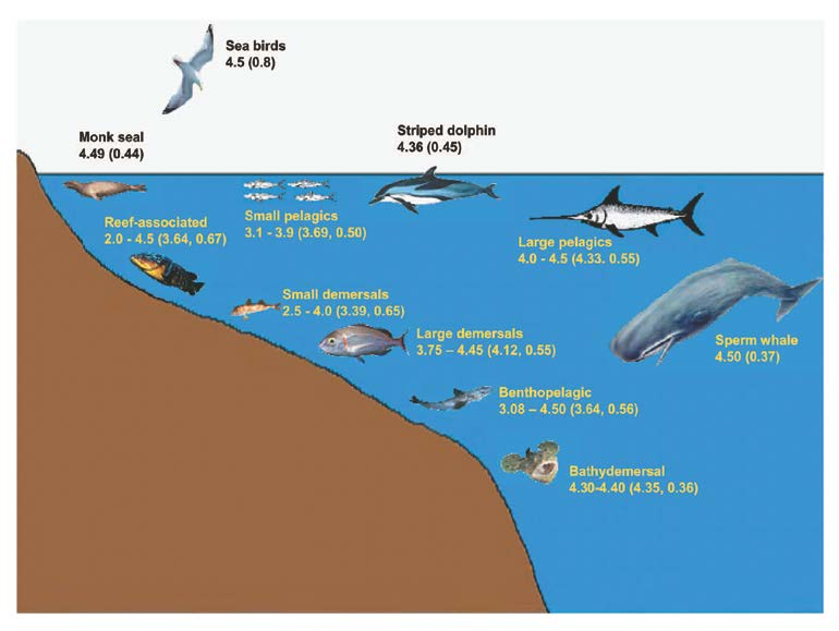 θραύσματα τροφής, με 5,5 για τα σαρκοφάγα, με την τελευταία τιμή που χαρακτηρίζει ορισμένα ειδικά αρπακτικά που τρέφονται με θαλάσσια θηλαστικά (Pauly et al., 2000).