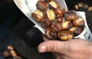 Με διεθνή χαρακτήρα - 16% του συνόλου των φοιτητών σε ελβετικά πανεπιστήμια είναι από το εξωτερικό - 33% σε σχολές κοινωνικών επιστημών (συμπ.