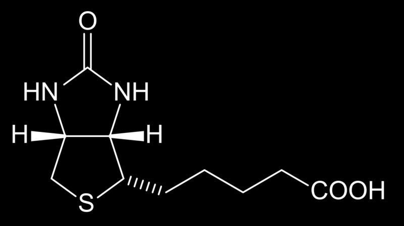 vitamíny lipoová kyselina biotín vitamín B 7 aminokyseliny H N COOH