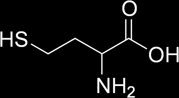 homocysteín neproteínová aminokyselina homológ cysteínu biosyntetizovaný z metionínu odbúravaný na cysteín v prítomnosti B- vitamínov homocysteín kardiovaskulárne ochorenie