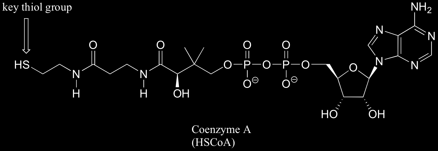Tiol + kyselina = tioestery CH 3