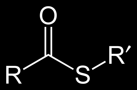 -merkaptoetylamín tioestery Acetyl