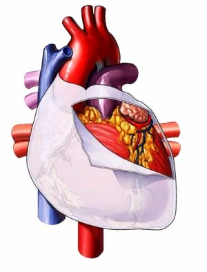 COMPENDIU DE CARDIOLOGIE UMANA