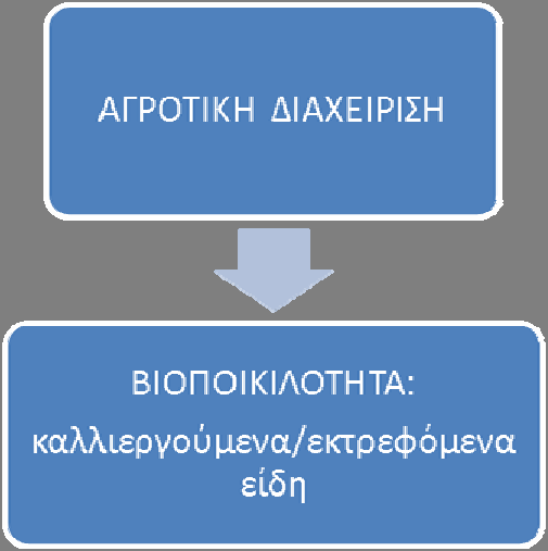 ΥΠΗΡΕΣΙΕΣ ΑΓΡΟ ΟΙΚΟΣΥΣΤΗΜΑΤΟΣ Σχήμα 3. Αλληλεπιδράσεις βιοποικιλότητας μεταξύ αγροτικών και φυσικών/ημιφυσικών οικοσυστημάτων.