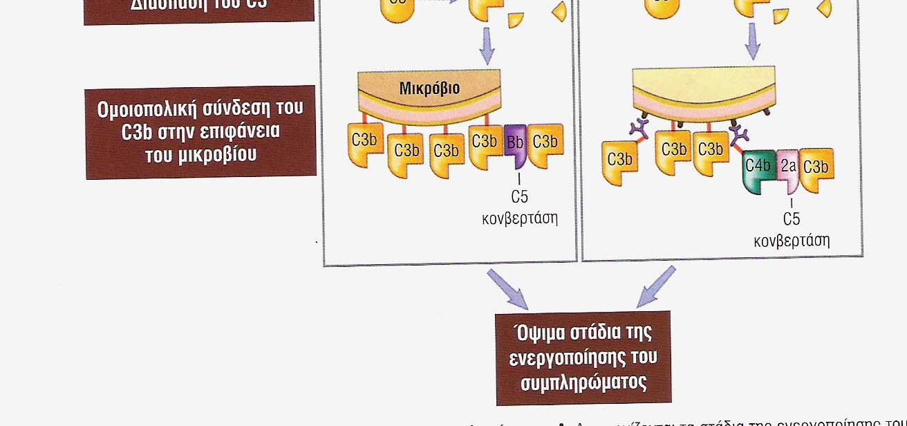 ενεργοποίησης