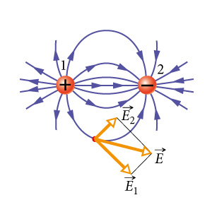 1.6. Väljade visualiseerimine 1.6.1. Elektrivälja jõujooned Elektri- ja magnetväli pole meie meeleorganitega vahetult tajutavad. Välja olemasolu avaldub vaid tema mõjus aine osakestele.