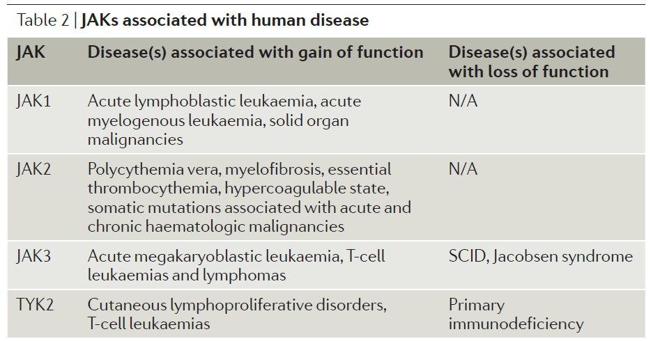 Nat Rev Rheumatol.