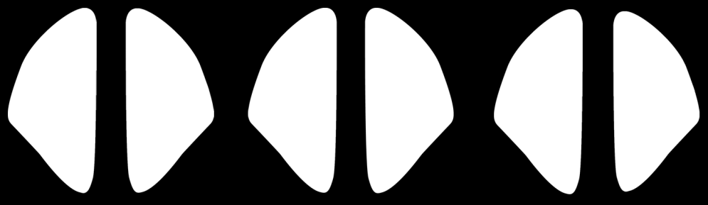interferon; IL, interleukin; JAK, Janus kinase; STAT, signal transducer and activator of transcription; TPO, thrombopoietin; TYK, tyrosine kinase. 1. O Sullivan LA, et al.