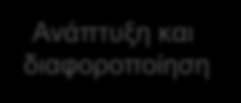 Οη θπηηαξνθίλεο ζπκβάινπλ ζηε ξύζκηζε πνιιώλ βηνινγηθώλ δηεξγαζηώλ Μηθξά πεπηίδηα πνιιά από ηα νπνία έρνπλ πνιιαπινύο ξόινπο ρεκαηίδνπλ δπλακηθά