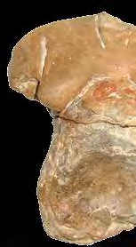 επιχώσεις Νεολιθικής Εποχής, τάφοι Protogeometric-geometric tombs Πρωτογεωμετρικής και Ελληνιστικής 9) Μεταβυζαντινοί απορριμματικοί Εποχής / Early, middle & late bronze λάκκοι / Postbyzantine