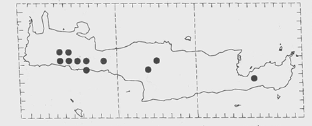 Χάρτης εξάπλωσης του είδους Sideritis syriaca subsp. syriaca (Κρητική μαλοτίρα) (Τurland 1993). Είναι ενδημικό Κρήτης δηλαδή δεν αυτοφύεται εκτός του νησιού. Γ.