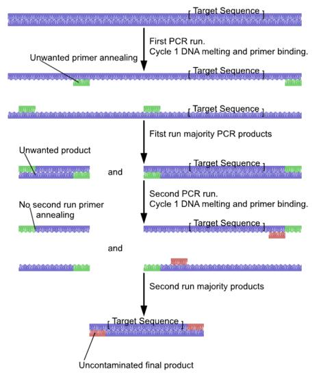 Nested-PCR Μειώνει τον αριθμό των μη-ειδικών προϊόντων τα οποία προκύπτουν σε μια αντίδραση