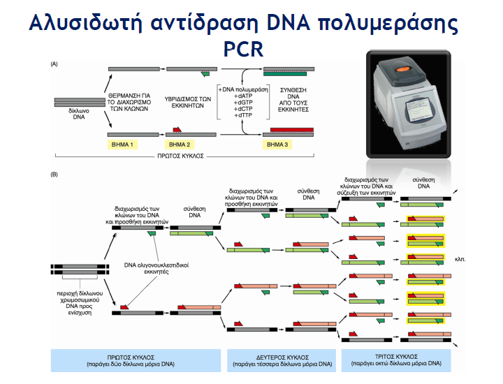 1. Real-time Quantitative PCR Μας