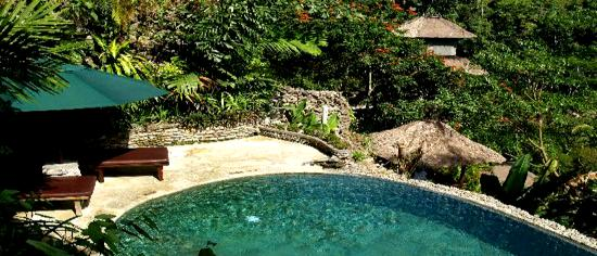 UBUD Royal Pita Maha deluxe pool villa rpyal pool villa ayung healing villa 354