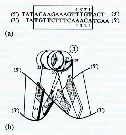 Kontakti između