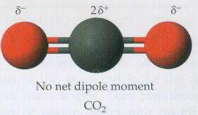 - CO 2 je linearan molekul, sabiranjem dva vektora istog intenzitetai pravca, a suprotnog