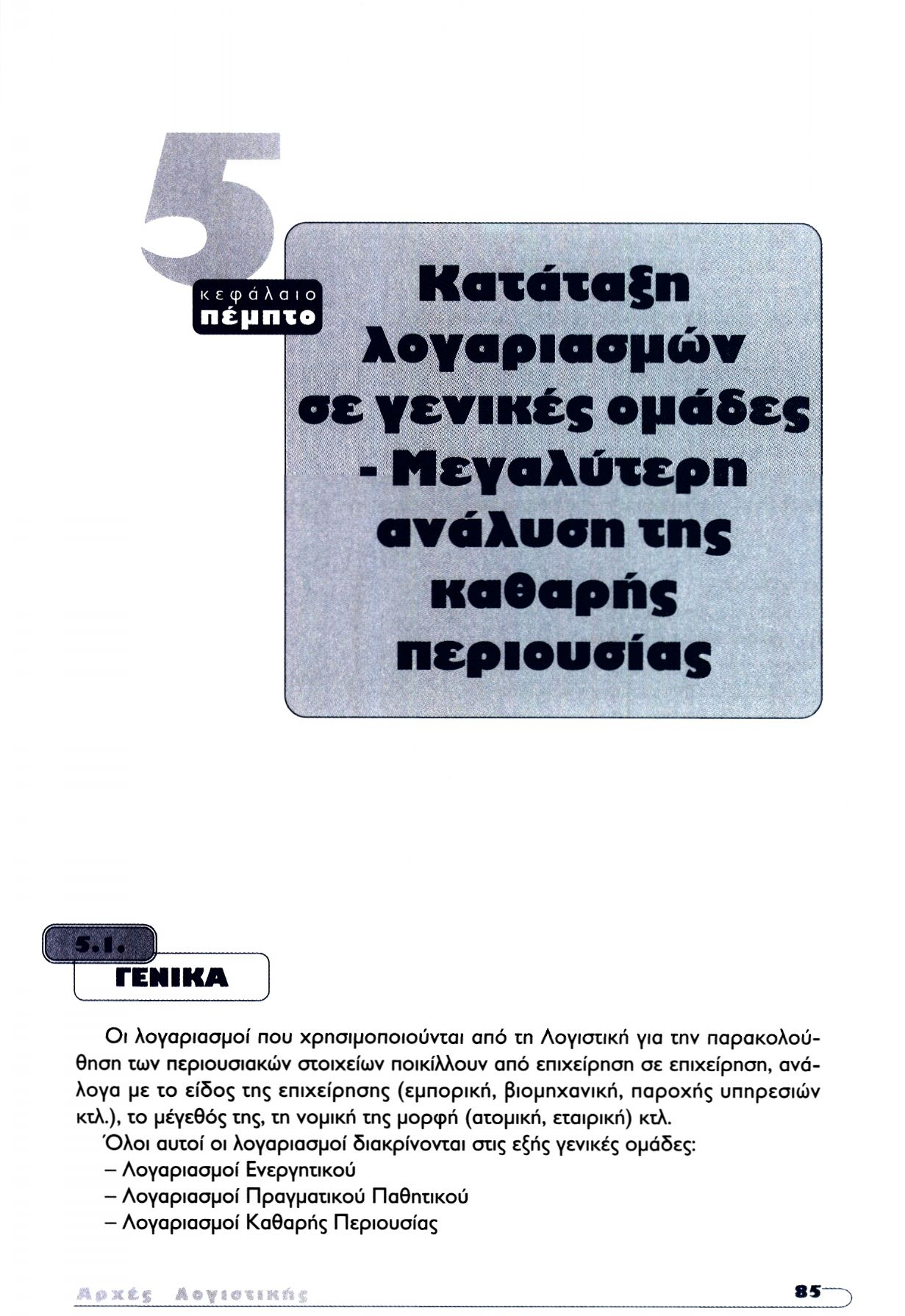 Κατάταξη λογαριασμών σε γενικές ομάδες - Μεγαλύτερη ανάλυση της καθαρής περιουσίας 5.1.