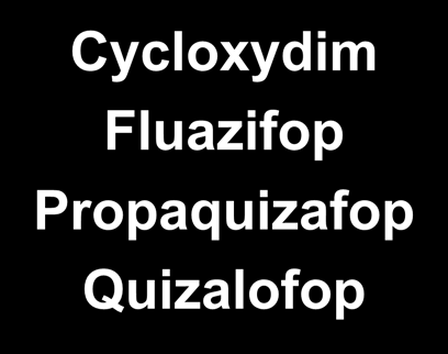 Ζιζανιοκτόνα φυλλώματος Amitrole Diquat Glufosinate Glyphosate