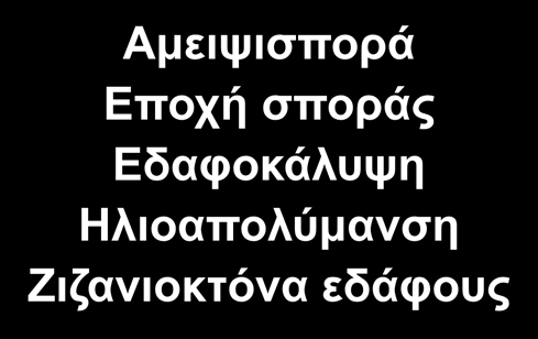 πυκνότητας φυτών Ορθολογική λίπανση