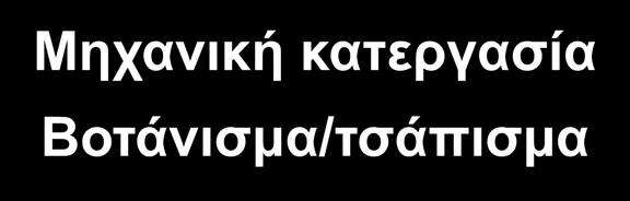 Διαχείριση ζιζανίων σε λαχανοκομικές καλλιέργειες Αμειψισπορά Εποχή σποράς Εδαφοκάλυψη