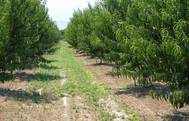 Ευχαριστώ θερμά για την προσοχή