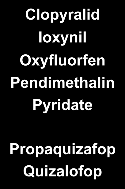 Ζιζανιοκτόνα κρεμμυδιού Εδάφους Pendimethalin Φυλλώματος Clopyralid