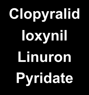 Ζιζανιοκτόνα πράσου Εδάφους Φυλλώματος Pendimethalin Clopyralid Ioxynil Linuron Pyridate