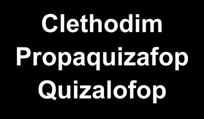 S-metolachlor Φυλλώματος Clethodim