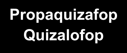 Ζιζανιοκτόνα μελιτζάνας Ζιζανιοκτόνα