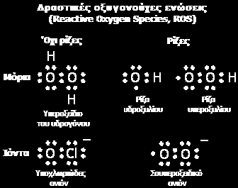 Ξενοβιοτικές ουσίες και υδρόβιοι οργανισμοί: Επιπτώσεις ξενοβιοτικών ουσιών 1. ΜΟΡΙΑΚΟΙ ΚΑΙ ΒΙΟΧΗΜΙΚΟΙ ΜΗΧΑΝΙΣΜΟΙ ΤΟΞΙΚΟΤΗΤΑΣ. 1.9 Δημιουργία ελεύθερων ριζών και επαγωγή φαινομένων οξειδωτικού stress.