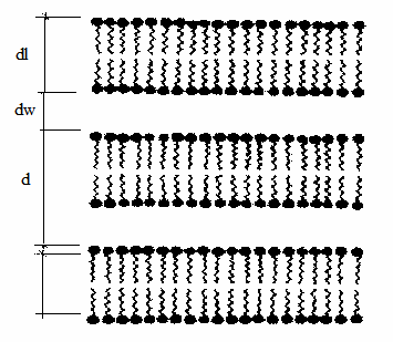 Obr. 39. Schématické znázornenie rozmerov lamelárnej fázy (Kotalová 2006).