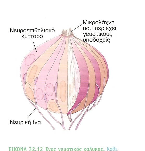 Αλλαγή στις µαγνητικές ιδιότητες του σιδήρου σε