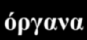 Οπίσθιες ρίζες ΝΝ Η οδός της αφής & της πίεσης Ψευδοµονοπολα