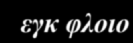 εξω κοιλιακο πυρηνα (θαλαµος) Μεσο