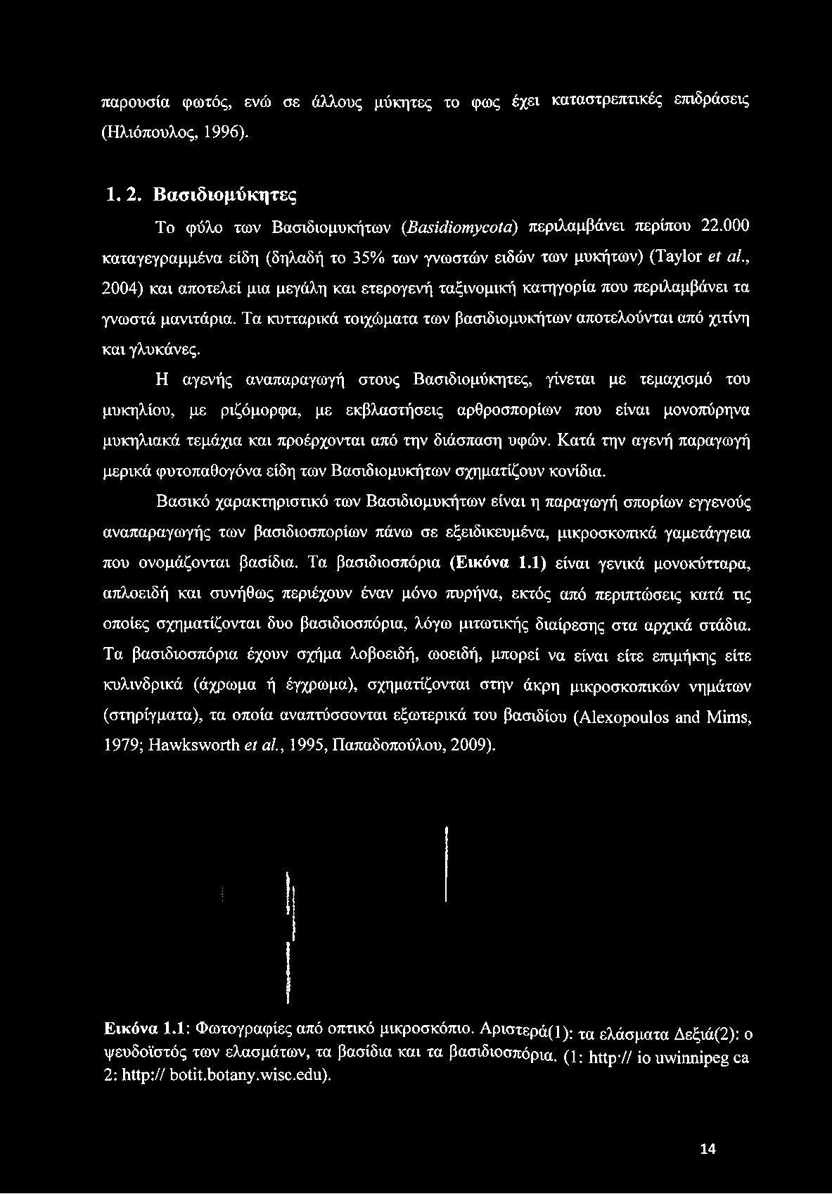 Τα κυτταρικά τοιχώματα των βασιδιομυκήτων αποτελούνται από χιτίνη και γλυκάνες.