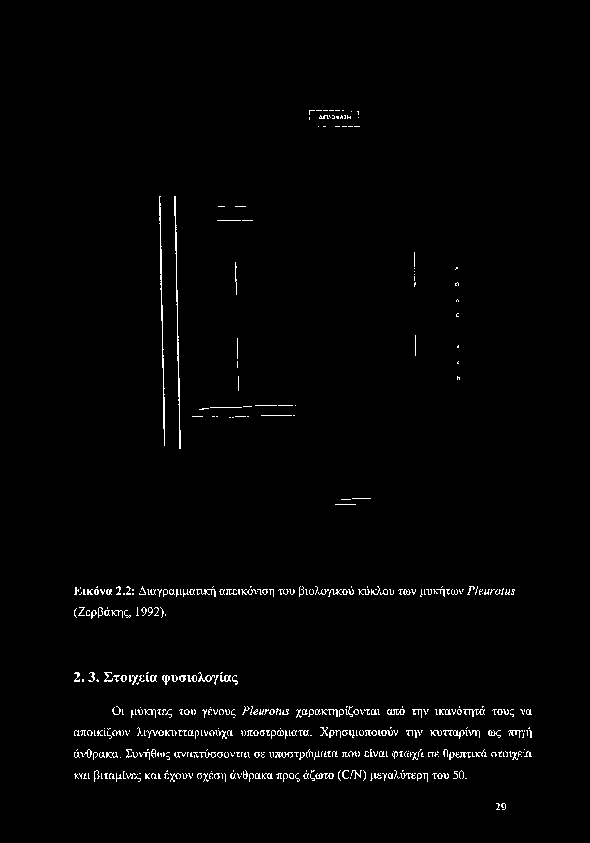 1--------------------- 1 I Α1ΠΛ0ΦΑΣΗ j A Π A O A Σ H Εικόνα 2.