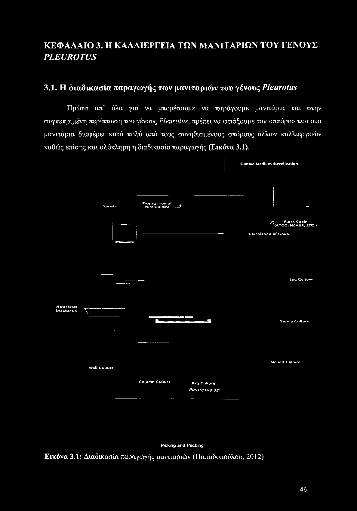 όλα για να μπορέσουμε να παράγουμε μανιτάρια και στην συγκεκριμένη