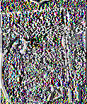 u ltu r e C o lu m n C u ltu r e B ag C u ltu r e P teurotus s p
