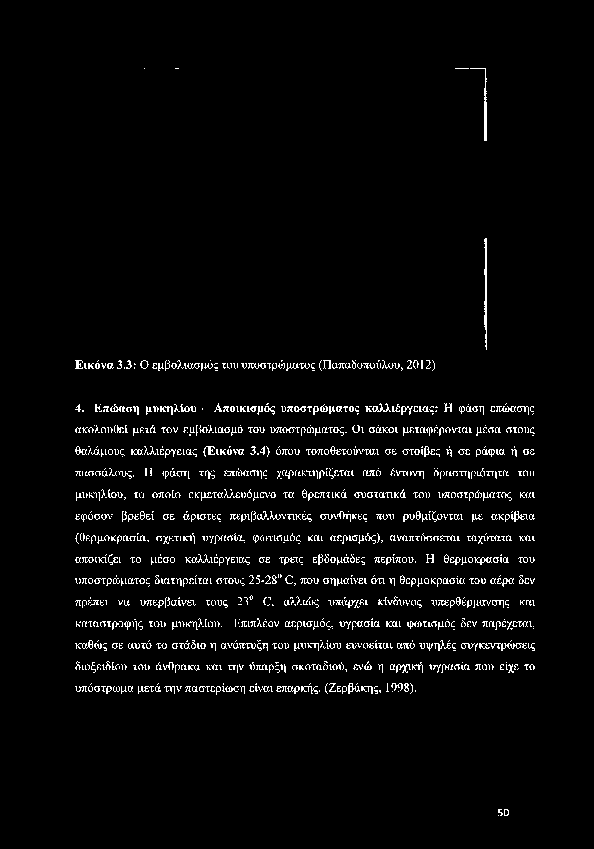 Η φάση της επώασης χαρακτηρίζεται από έντονη δραστηριότητα του μυκηλίου, το οποίο εκμεταλλευόμενο τα θρεπτικά συστατικά του υποστρώματος και εφόσον βρεθεί σε άριστες περιβαλλοντικές συνθήκες