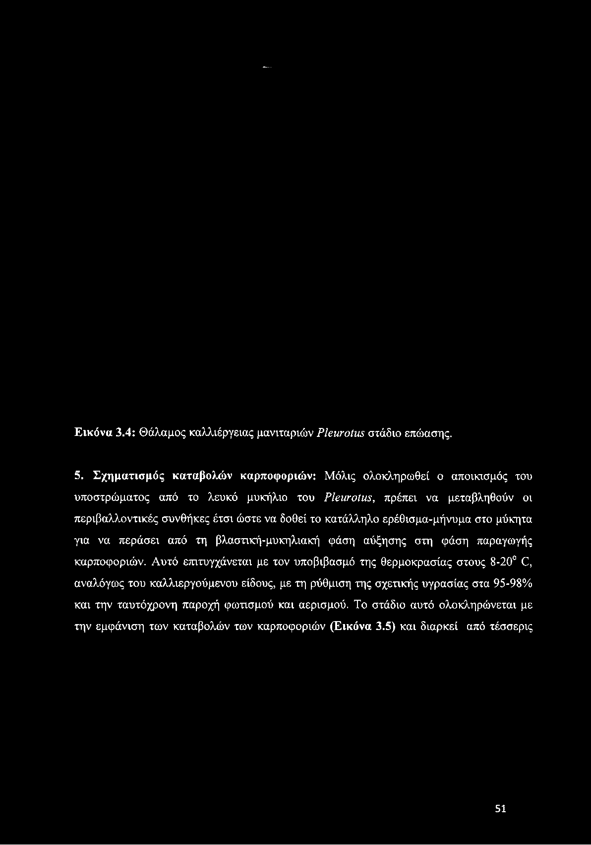 Εικόνα 3.4: Θάλαμος καλλιέργειας μανιταριών ΡΙβητοίνιζ στάδιο επώασης. 5.