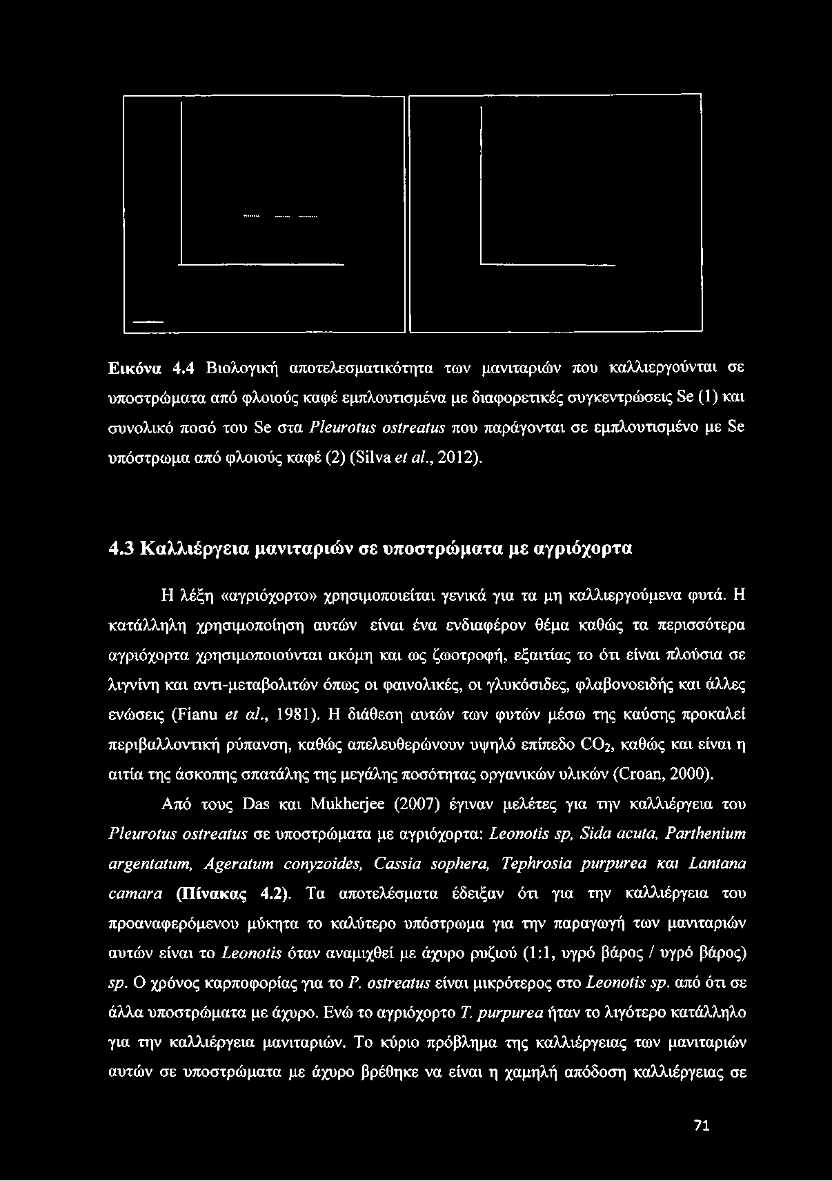 tu s που παράγονται σε εμπλουτισμένο με Se υπόστρωμα από φλοιούς καφέ (2) (Silva et al., 2012). 4.