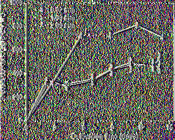 Σύμφωνα με τους Shashirekha et al.