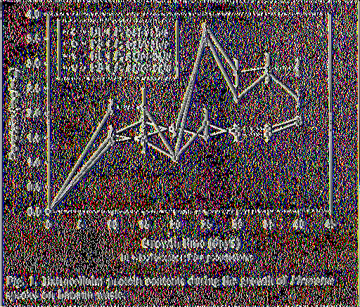 Στην έρευνα αυτή (Reddy et al., 2003) η δραστηριότητα της λακκάσης ήταν υψηλή σε σχέση με τις κυτταρινάσες και την ξυλανάση κατά το αρχικό στάδιο της αποικοδόμησης.